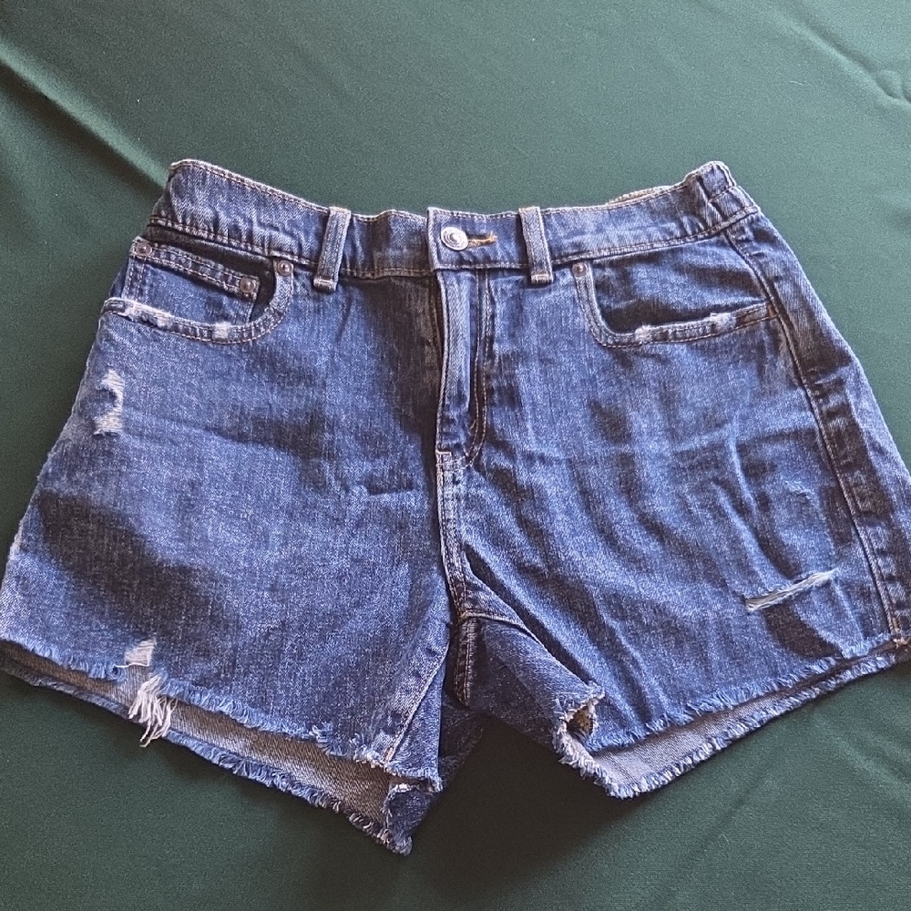 Aerie Classic Blue Denim Shorts